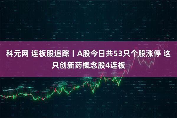 科元网 连板股追踪丨A股今日共53只个股涨停 这只创新药概念股4连板
