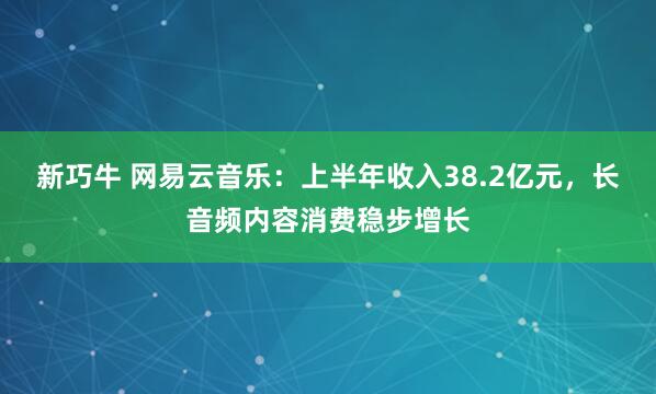 新巧牛 网易云音乐：上半年收入38.2亿元，长音频内容消费稳步增长
