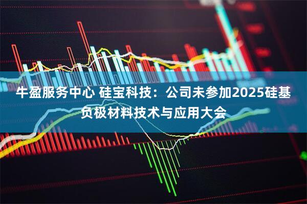 牛盈服务中心 硅宝科技：公司未参加2025硅基负极材料技术与应用大会