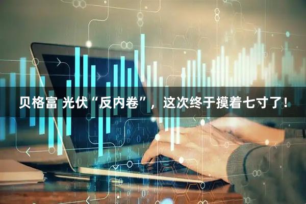 贝格富 光伏“反内卷”，这次终于摸着七寸了！