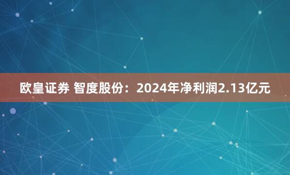 欧皇证券 智度股份：2024年净利润2.13亿元